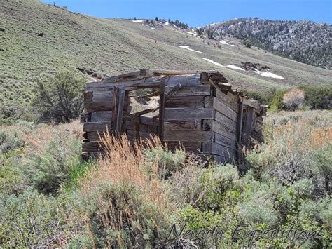 Jasper Starr King Nevada Expeditions