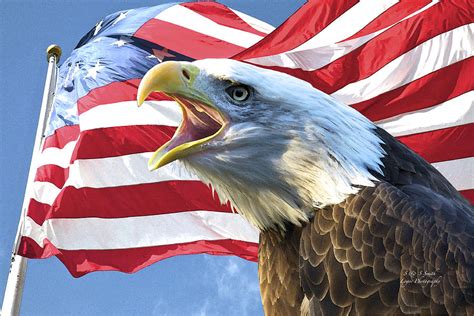American Freedom Symbol