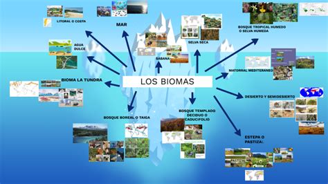 Biomas Terrestres Mindmeister Mapa Mental The Best Porn Website