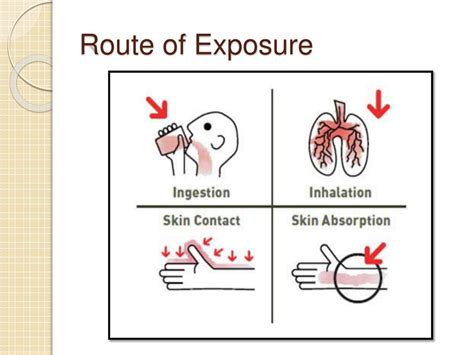 Exposure Routes Infographic