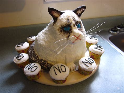 Erika Kaisersot Erikakaisersot Birthday Cake For Cat Grumpy Cat