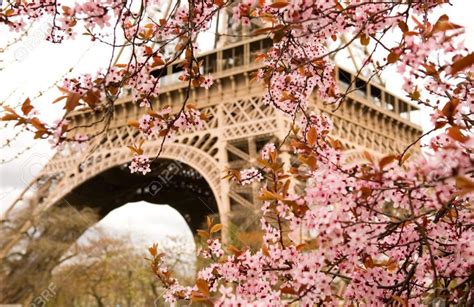 Cherry Blossom Around The World — The Art Of Travel By Anne Christine