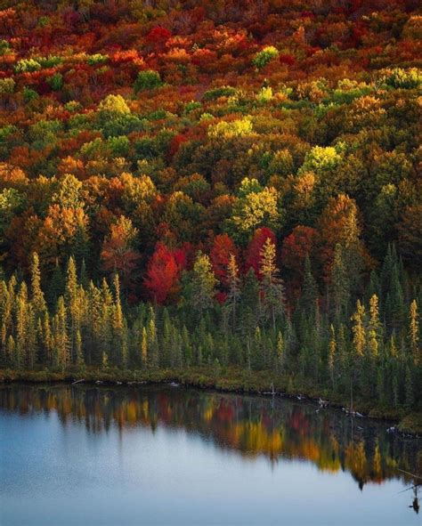New Puzzle Lake Superior North Shore Fall Colors Minnesota