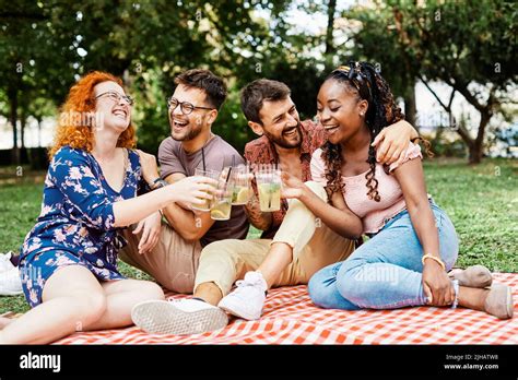Picnic Fun Outdoor Woman Friend Summer Friendship Man Lifestyle Smiling Happy Toast Party Couple