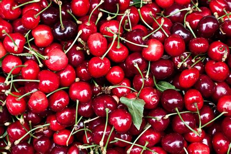 Us Northwest Cherry Prices Stronger In 2019