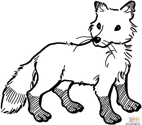 Coloriage Bebe Renard Roux Fox JeColorie Com