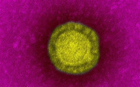 Ce Que L On Sait Du Coronavirus Qui Se Propage En Chine