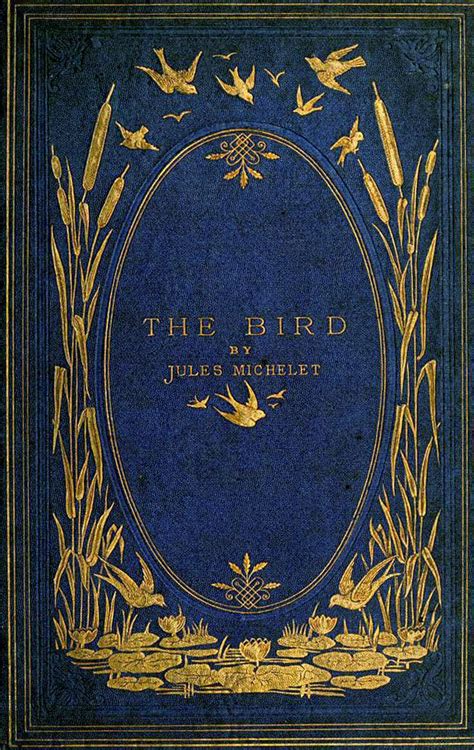 Antique Book Cover ~ The Bird Vintage Book Covers Book Cover Art