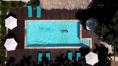 Swimming Pool Drone Youtube