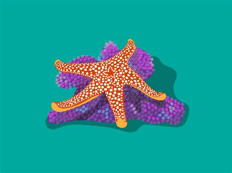 Starfish By Patrick Northey On Dribbble