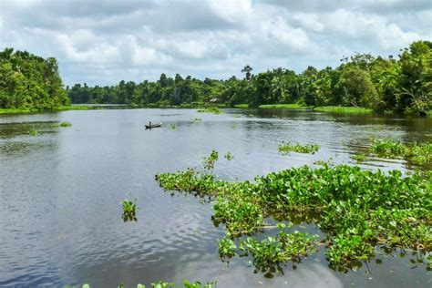 Orinoco Delta Venezuela Franks Travelbox