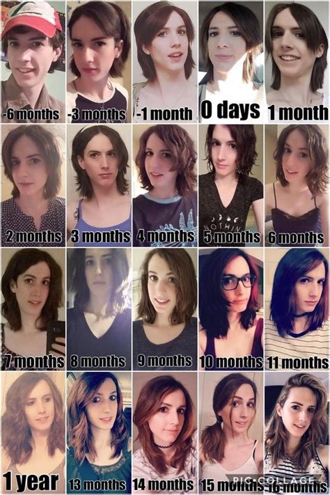 i love month by month timelines so here s mine transtimelines mtf transition male to