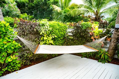 Serenity at Coconut Bay Reopens-Build a Wall Around Yourself