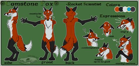Fantastic Mr Fox Reference Sheet Fantastic Mr Fox Fox Character Fox