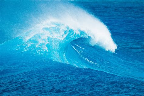 Blue Ocean Wave Verb Company