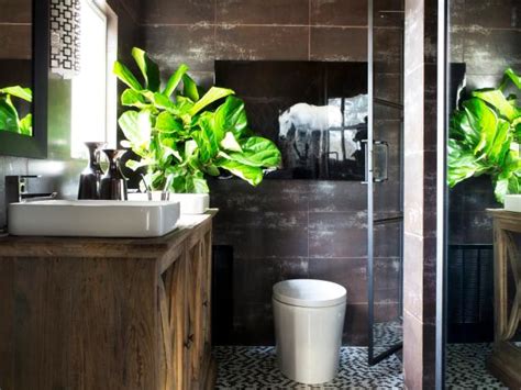 How To Decorate Your Bathroom With Plants Hgtvs Decorating And Design