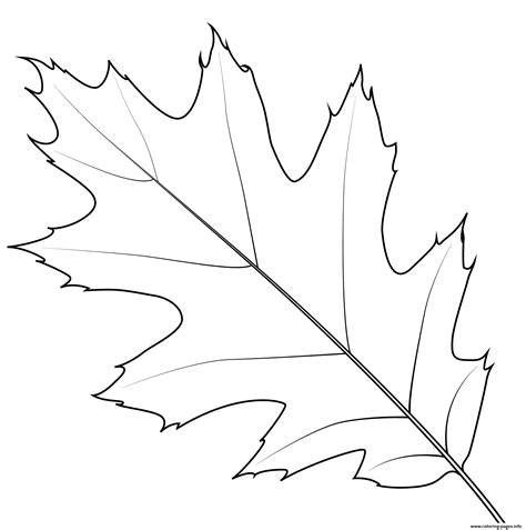 Coloring pages of leaves of different types of trees. Northern Red Oak Leaf Coloring Pages Printable