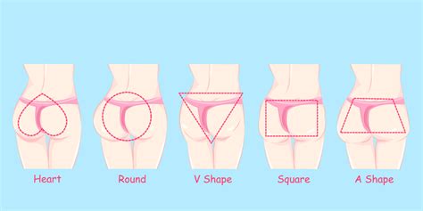 Types Of Butt The Butt Lifter Blog