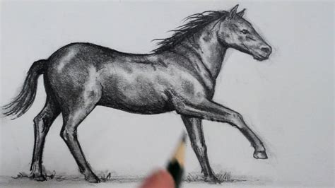 … draw the shapes of the animal's body and neck. How to draw a horse tutorials that beginners should check out