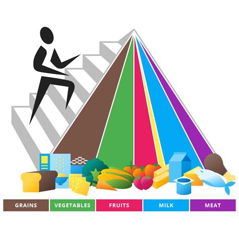 Food Pyramid Png Hd Isolated Png Mart
