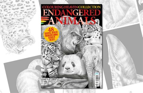Endangered Animals Colouring Heaven Collection Colouring Heaven