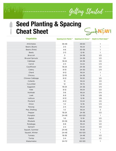 Printable Seed Planting And Spacing Cheat Sheet Planting Seeds Garden