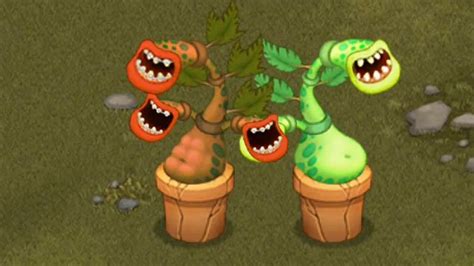 How To Breed Rare Potbelly Monster 100 Real In My Singing Monsters