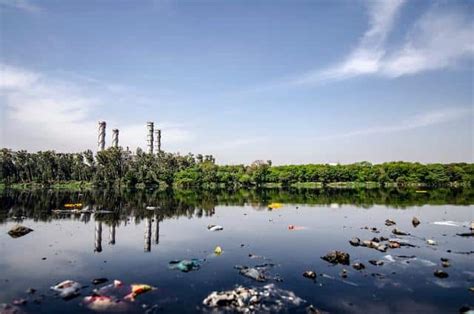 Beside particulate matter such as ions and molecules, the most common types of contamination are: The Effects of Wastewater on the Environment - Conserve ...