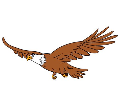 How To Draw An Eagle In A Few Easy Steps Easy Drawing Guides