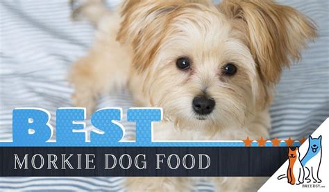 The top 20 best dry puppy food brands selected by the editors of the dog food advisor. 9 Best Morkie Dog Foods Plus Top Brands For Puppies ...