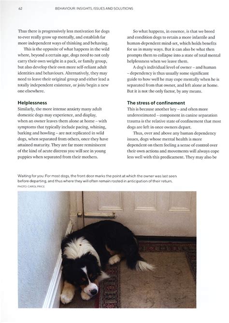 Border Collies A Breed Apart Book Three Behavior Insights Issues And