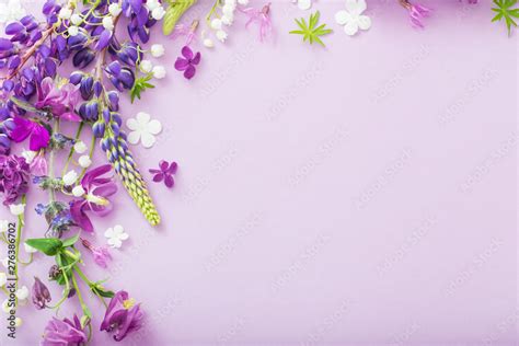 Purple Blue Pink Flowers On Paper Background Stock Photo Adobe Stock