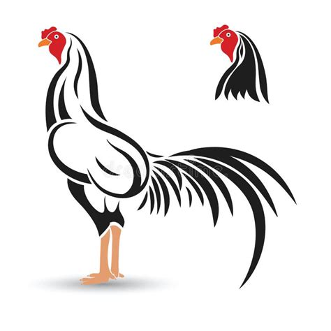 Gallo De Pelea Ilustración Del Vector Ilustración De Agricultura