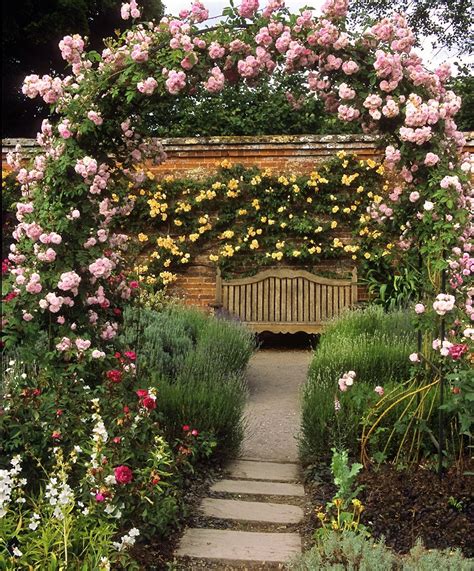 Как красиво посадить розы в огороде 38 фото НА ДАЧЕ ФОТО