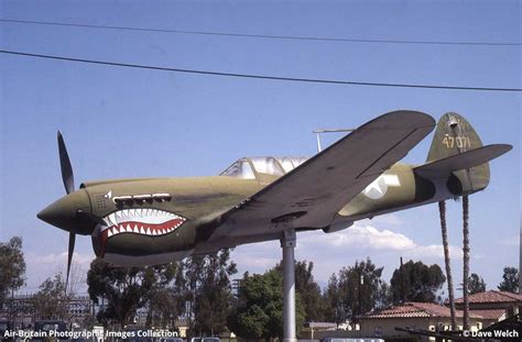 Aviation Photographs Of Curtiss P 40N Warhawk Composite ABPic