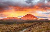 Tongariro National Park Accommodation Images