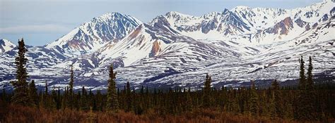 Sub Polar Boreal Spring Snow Patterns Photograph By David Broome Fine