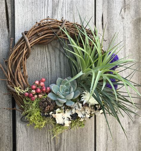 Living Grapevine Wreath With Succulents And Air Plants Etsy Air