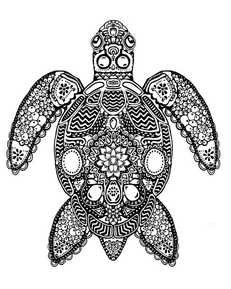 Tartaruga Stilizzata Tribale Di Zentangle Vect Acquatico Disegnato A