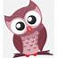 Owl Cartoon Png Download  8501018 Free Transparent