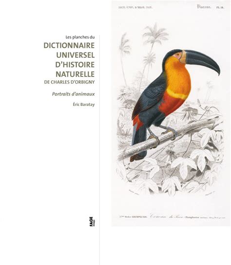 Dictionnaire Universel Dhistoire Naturelle De Charles Dorbigny