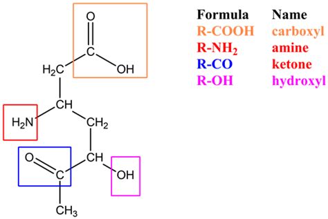 Label The Highlighted Functional Groups In This Molecule