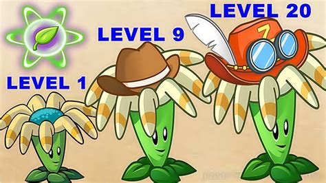 Bloomerang Pvz2 Level 1 9 20 Max Level In Plants Vs Zombies 2