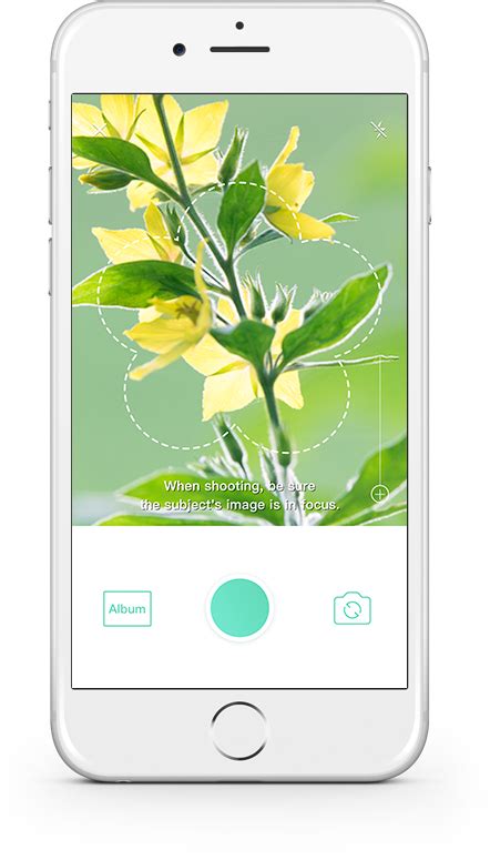 More about our mission and programs. Picture This AI: Plant Identification app that actually ...