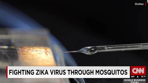 Fighting Zika Virus Through Mosquitoes Cnn Video