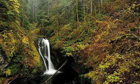 Usa Oregon Nature Autumn Waterfalls Forests Hd Wallpaper Pxfuel