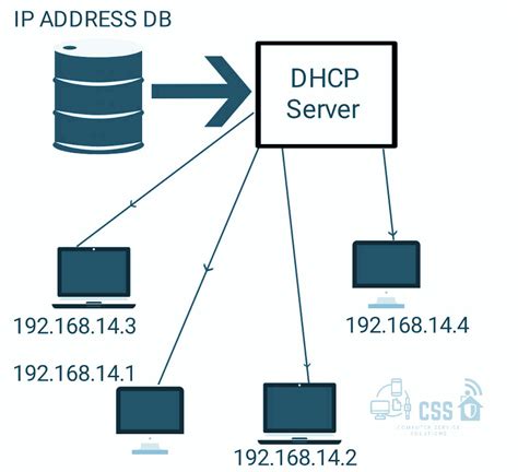 Dhcp Protocol Everything You Need To Know Including Working And Security