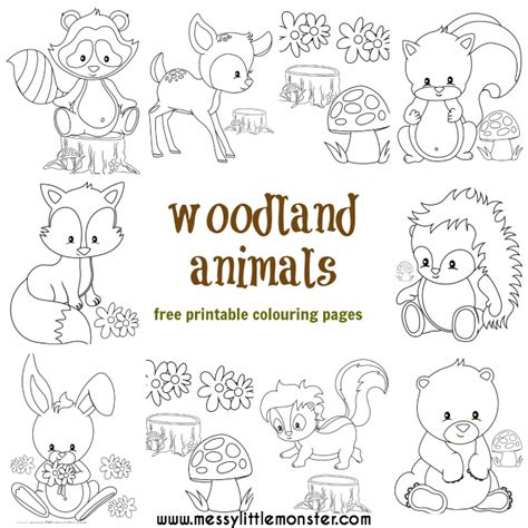 Woodland Animal Colouring Pages Messy Little Monster