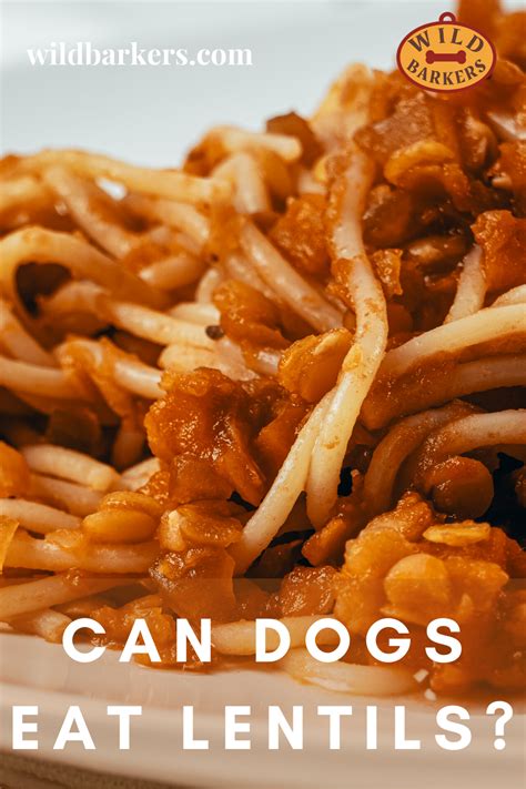 The hydrolyzation process breaks the protein chains down into smaller blocks of amino acids. Can Dogs Eat Lentils? in 2020 | Vegetarian dog food recipe ...