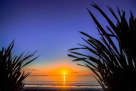Hibiscus Coast New Zealand Orewa Beach Sunrise